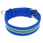 Ошейник четырехслойный светоотражающий с вертлюгом, 65×4 см, синий - Фото 2