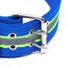 Ошейник четырехслойный светоотражающий с вертлюгом, 65×4 см, синий - Фото 3