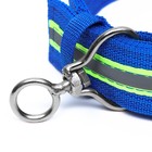 Ошейник четырехслойный светоотражающий с вертлюгом, 65×4 см, синий - Фото 4