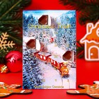 Адвент календарь Fikar «Новогоднее путешествие», 17 г - фото 11536284