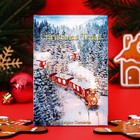 Адвент календарь Fikar «Новогоднее путешествие», 17 г - фото 23222198