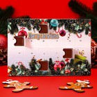 Адвент календарь Fikar «Рождественское настроение», 40 г - фото 320508758