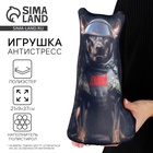 Антистресс игрушка, собака «Герой» - Фото 1