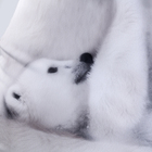 Антистресс игрушка, медведь «Любимой мамочке» - Фото 5