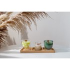 Менажница Magistro Tropical, 3 секции, 30×10×1.8 см, каучуковое дерево - Фото 7