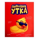Настольная игра «Подсадная утка», уценка 10185643