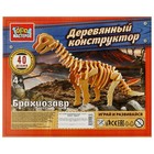 Конструктор деревянный «Брахиозавр», 40 деталей - Фото 1