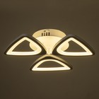 Люстра Трио 66Вт LED ПДУ 2700-6500К D40см - фото 23336869