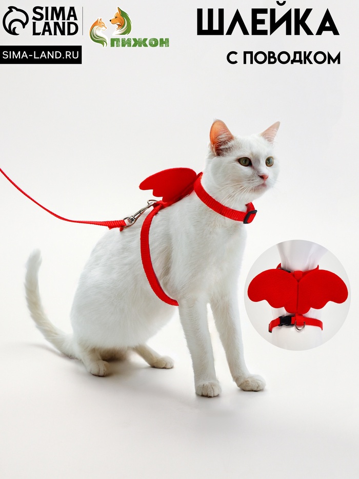 Комплект амуниции «Ангел», размер XS, шлейка 19-26 см, поводок 120×1 см, красный - Фото 1