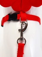 Комплект амуниции «Ангел», размер XS, шлейка 19-26 см, поводок 120×1 см, красный - Фото 6