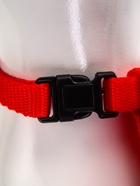 Комплект амуниции «Ангел», размер XS, шлейка 19-26 см, поводок 120×1 см, красный - Фото 7