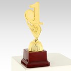 Кубок «1 место», наградная фигура, золото, подставка пластик, 16,8 × 6,2 × 6,4 см. - фото 12044755