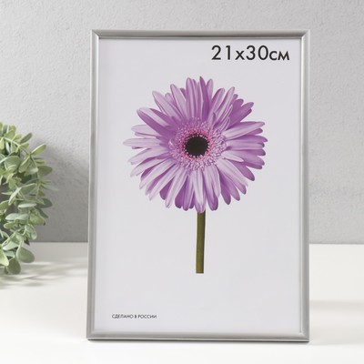 Фоторамка для фото 21×30 см Lida, пластик, серебро