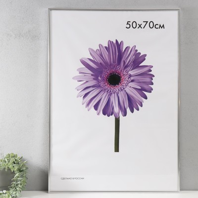 Фоторамка для фото 50×70 см Lida, пластик, серебро