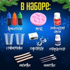 Набор для опытов «Новогодняя гирлянда», из эпоксидной смолы - Фото 2
