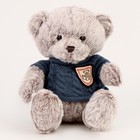 Мягкая игрушка «Медведь», 20 см, в кофте, серая - Фото 1