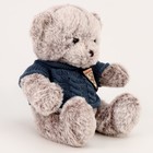 Мягкая игрушка «Медведь», 20 см, в кофте, серая - Фото 2