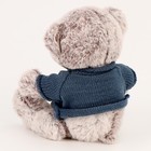 Мягкая игрушка «Медведь», 20 см, в кофте, серая - Фото 3