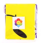 Шар фольгированный 36" «Ромашка разноцветная» - фото 23203848