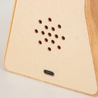 Светильник сенсорный «Колесо» LED крутится 6 Вт USB 15×4×16 см RISALUX - Фото 8