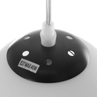 Бра "Интенсо" E27 40Вт черный 16х18 см - фото 23271441