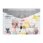 Папка-конверт на кнопке, А4, 160 мкм, МИКС (комплект 12 шт) - фото 23200120 Папка-конверт на кнопке, А4, 160 мкм, МИКС (комплект 12 шт) - фото 23200120