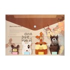 Папка-конверт на кнопке, А4, 160 мкм, МИКС (комплект 12 шт) - фото 23200123 Папка-конверт на кнопке, А4, 160 мкм, МИКС (комплект 12 шт) - фото 23200123