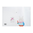 Папка-конверт на кнопке, А4, 160 мкм, МИКС (комплект 12 шт) - фото 23200113 Папка-конверт на кнопке, А4, 160 мкм, МИКС (комплект 12 шт) - фото 23200113