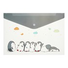 Папка-конверт на кнопке, А4, 160 мкм, МИКС (комплект 12 шт) - фото 23200116 Папка-конверт на кнопке, А4, 160 мкм, МИКС (комплект 12 шт) - фото 23200116