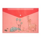 Папка-конверт на кнопке, А4, 160 мкм, МИКС (комплект 12 шт) - фото 23200117 Папка-конверт на кнопке, А4, 160 мкм, МИКС (комплект 12 шт) - фото 23200117