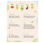 Набор карнавальных масок масок «Овощная вечеринка», 5 шт. - фото 23473852