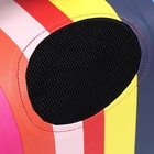 Сумка - переноска для животных "Радуга", размер М, 40 х 21 х 27 см - фото 44140941