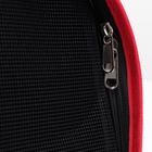 Сумка - переноска для животных "Радуга", размер М, 40 х 21 х 27 см - фото 44140942