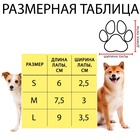 Носки нескользящие «Любовь», размер S (2.5/3.5×6 см), набор 4 шт., чёрные - Фото 4