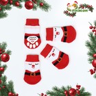 Носки нескользящие для животных «Дед Мороз», размер M (3/4×7.5 см), набор 4 шт. - Фото 1