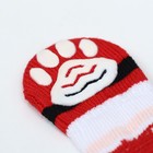 Носки нескользящие для животных «Дед Мороз», размер M (3/4×7.5 см), набор 4 шт. - Фото 2