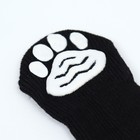Носки нескользящие "Пингвин", размер M (3/4 * 7,5 см), набор 4 шт - фото 9154301
