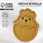 Менажница «Цыплёнок» на пасху, 30×24 см - Фото 1