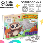 Металлическая головоломка «Сова», 30 шт. - Фото 1