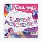 Гирлянда на ленте «С Днем Рождения», 250 см. - Фото 5