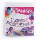 Гирлянда на ленте «С Днем Рождения», 250 см. - Фото 6