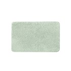 Коврик для ванной IDDIS, 50х80 см, микрофибра, цвет светло-зелёный - фото 301720244