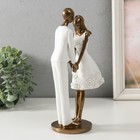 Фигурка полистоун «Влюблённые», 12×8.5×24.5 см - Фото 2