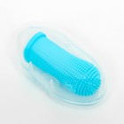 Щётка для чистки зубов животных, 5,5 х 2,5 см, голубая, контейнер 7 х 4 см - фото 9154750