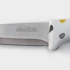 Нож для овощей кухонный Доляна Sparkle, лезвие 9 см, цвет белый - фото 4403498