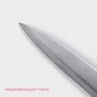 Нож кухонный универсальный Доляна Sparkle, лезвие 12,5 см, цвет белый - Фото 2