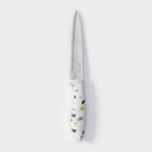 Нож кухонный универсальный Доляна Sparkle, лезвие 12,5 см, цвет белый - Фото 3