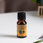 Эфирное масло «Сандал», 10 мл, Богатство Аромата - Фото 2