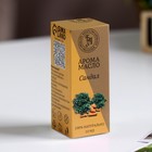 Эфирное масло «Сандал», 10 мл, Богатство Аромата - Фото 3