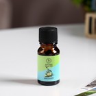 Эфирное масло «Эвкалипт», 10 мл, Богатство Аромата - Фото 2